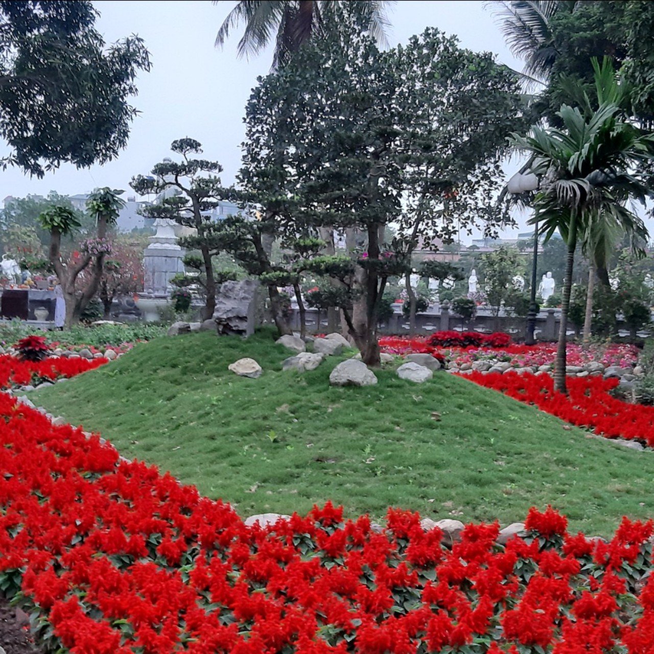 Nguyễn Thị T