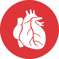 Nhiệt nhập tâm bào